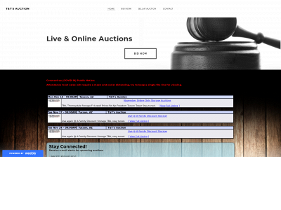 www.tntsauction.com snapshot