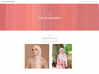site-0342d876de12.mypreview.site snapshot