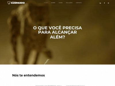 agenciaguepardo.com.br snapshot