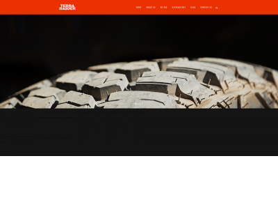terraraidertires.com snapshot