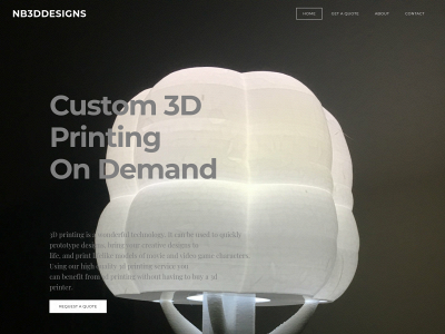 nb3ddesigns.weebly.com snapshot