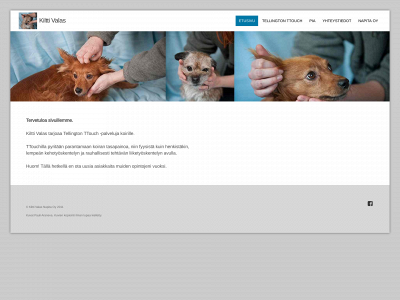 kilttivalas.com snapshot