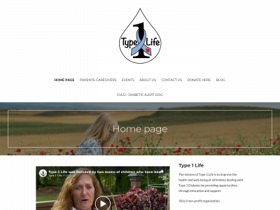 t1dlife.org snapshot