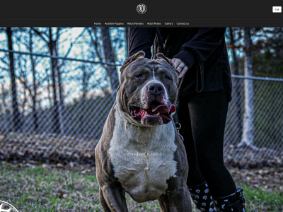 blueironkennel.com snapshot