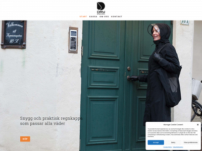 dbdsweden.com snapshot