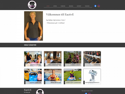 eactive.se snapshot