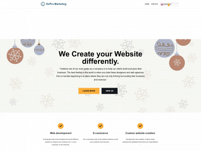 gopromarketingagency.com snapshot