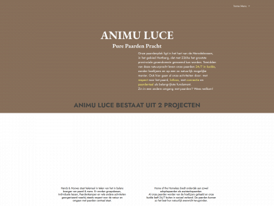 animuluce.be snapshot