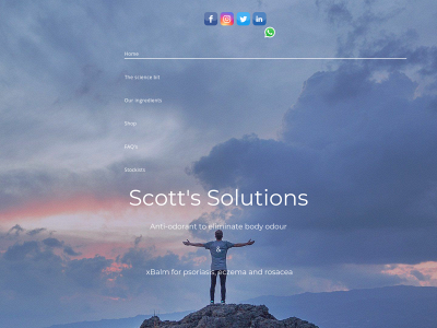 scottssolution.co.uk snapshot