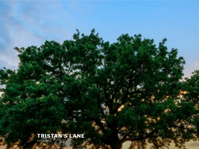 tristansphilosophy.com snapshot