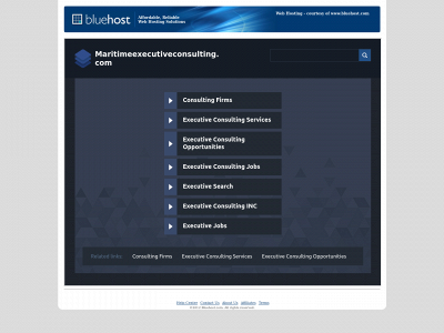 maritimeexecutiveconsulting.com snapshot