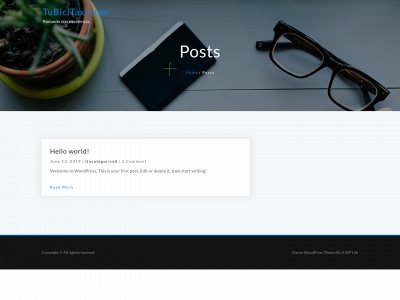 tubicitaxi.com snapshot