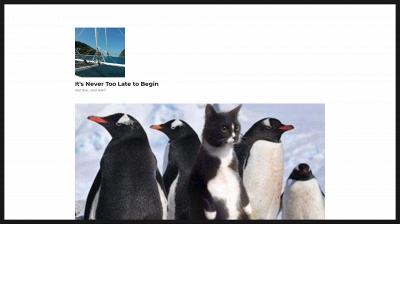 lexastartnew.com snapshot