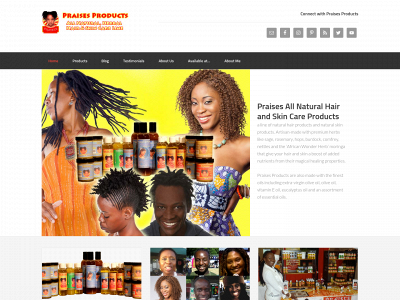 praisesproducts.com snapshot