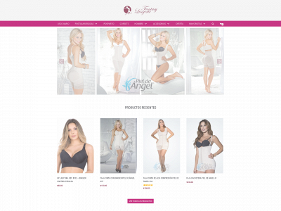 fantasylingerienyc.com snapshot