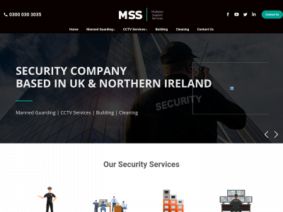 multiplexss.com snapshot