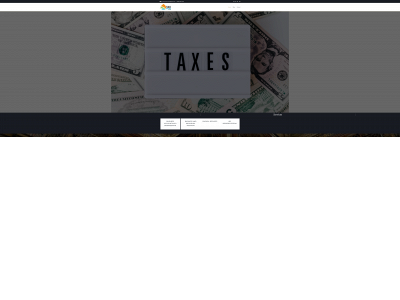 taxmaster101.com snapshot