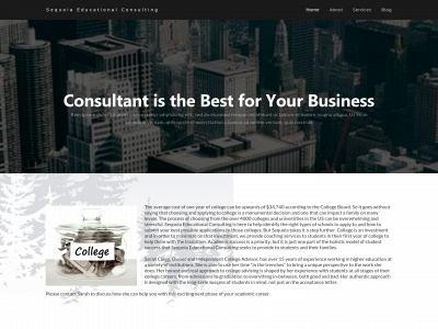 sequoiaedconsulting.com snapshot