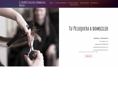 ilsaloneadomicilio.com snapshot