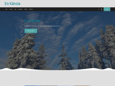 enkansla.nu snapshot