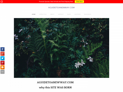 www.aguidetoanewway.com snapshot