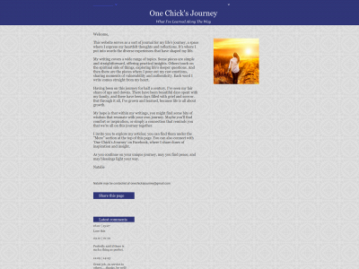 onechicksjourney.com snapshot