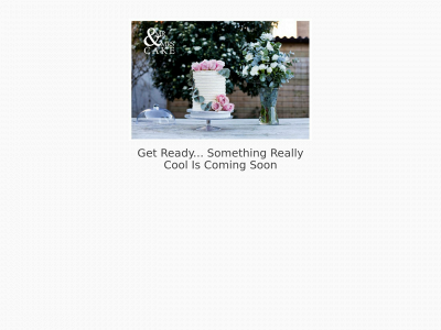 mrmrscake.nl snapshot