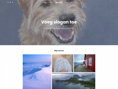 art4pets.nl snapshot