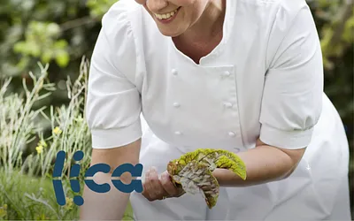 licawear.com snapshot