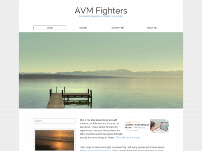avmfighters.com snapshot