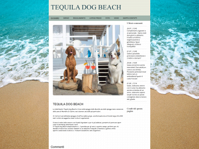 tequiladogbeach2.it snapshot