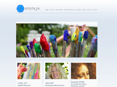 www.aninja.se snapshot