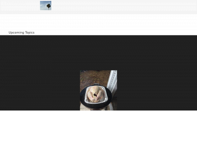 whitesellhomeresources.com snapshot