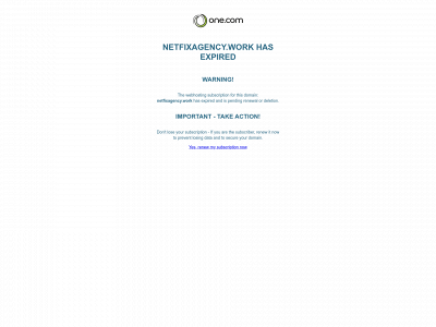 netfixagency.work snapshot