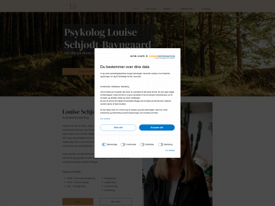 bavngaard.com snapshot