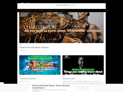 willinskymagazine.com snapshot