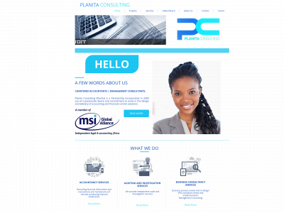 planitaconsulting.com snapshot