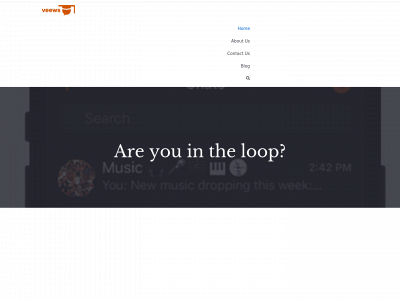 veewsapp.com snapshot