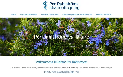 doktordahlstrom.se snapshot