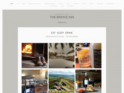 thebridgeinnmichaelchurch.co.uk snapshot