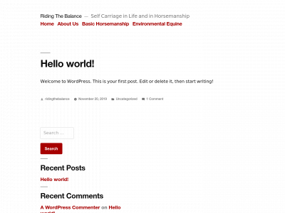 ridingthebalance.com snapshot