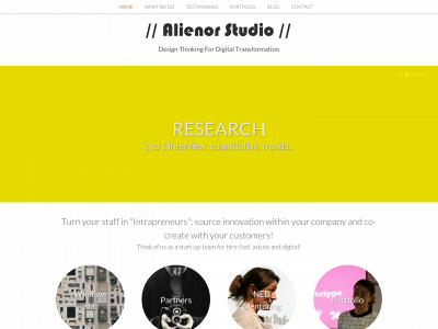 alienorstudio.com snapshot