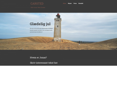 carsted.dk snapshot