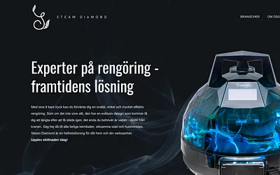 steamdiamond.se snapshot