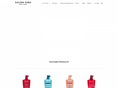 www.salonziba.com snapshot