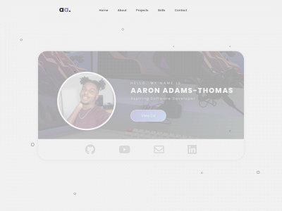 aaronadams.info snapshot