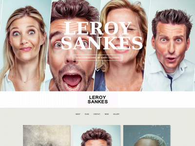 leroysankes.com snapshot