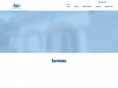 amissolutions.net snapshot