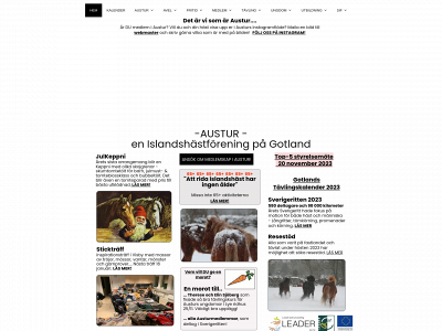 austur.org snapshot