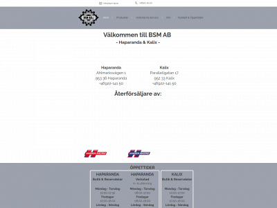 bsm-ab.se snapshot